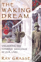 Capa do artigo Waking Dream