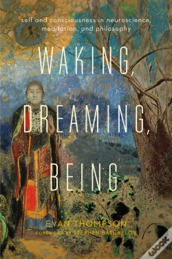 Capa do artigo Waking, Dreaming, Being