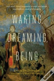 Capa do artigo Waking, Dreaming, Being