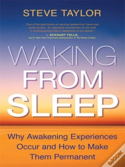 Capa do artigo Waking From Sleep