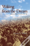 Waking From The Dream