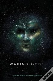 Capa do artigo Waking Gods