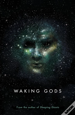 Capa do artigo Waking Gods