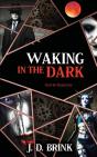 Waking In The Dark - Preview