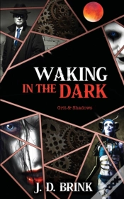 Capa do artigo Waking In The Dark
