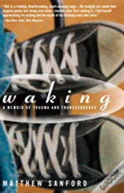 Capa do artigo Waking