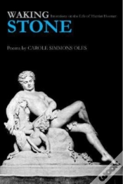 Capa do artigo Waking Stone