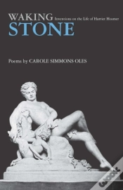 Capa do artigo Waking Stone