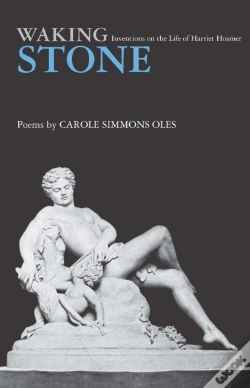 Capa do artigo Waking Stone