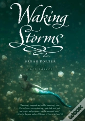 Capa do artigo Waking Storms