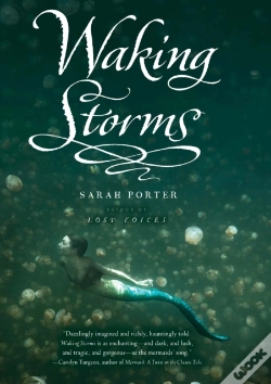 Capa do artigo Waking Storms