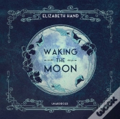 Capa do artigo Waking The Moon