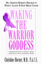 Waking The Warrior Goddess - Preview