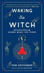 Waking The Witch - Preview