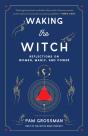 Waking The Witch - Preview