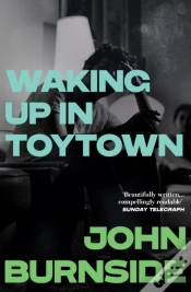 Capa do artigo Waking Up In Toytown