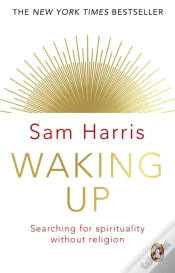 Capa do artigo Waking Up