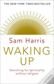 Capa do artigo Waking Up