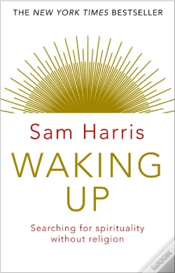 Capa do artigo Waking Up
