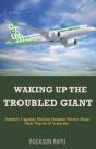 Waking Up The Troubled Giant - Preview