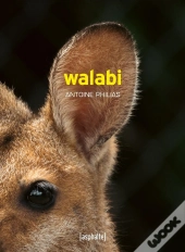 Walabi