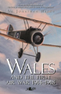 Wales And The First Air War - Preview