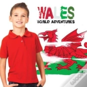 Capa do artigo Wales