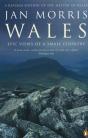 Wales - Preview