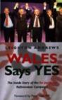 Wales Says Yes - Preview