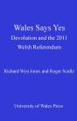 Wales Says Yes - Preview