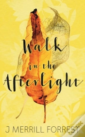 Capa do artigo Walk In The Afterlight