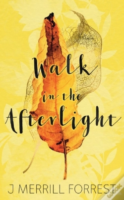 Capa do artigo Walk In The Afterlight