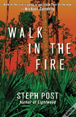 Capa do artigo Walk In The Fire