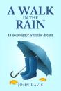 Walk In The Rain - Preview