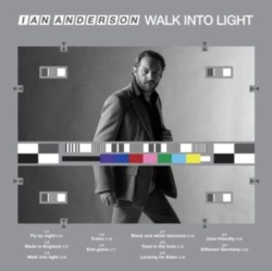 Capa do artigo Walk Into Light - Vinil