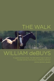 Capa do artigo Walk
