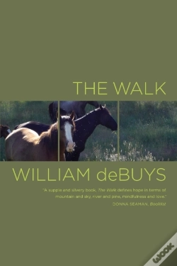Capa do artigo Walk