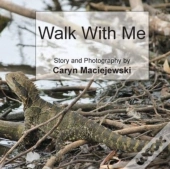 Walk With Me (Softcover)
