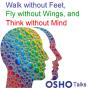 Walk Without Feet, Fly Without Wings And Think Without Mind - Preview