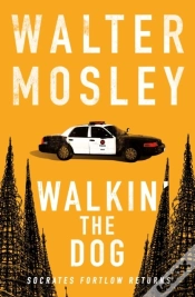 Capa do artigo Walkin