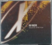 Capa do artigo Walking After You - CD