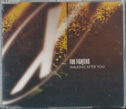 Capa do artigo Walking After You - CD