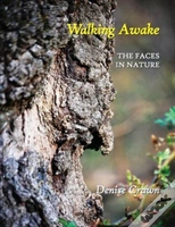 Capa do artigo Walking Awake
