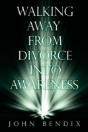 Walking Away From Divorce Into Awareness - Preview