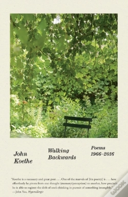 Capa do artigo Walking Backwards
