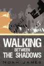 Walking Between The Shadows - Preview