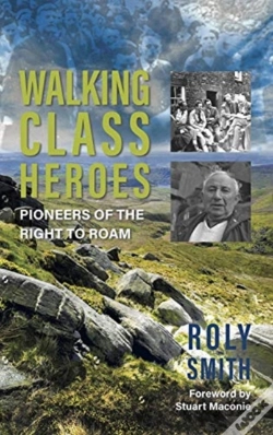 Capa do artigo Walking Class Heroes