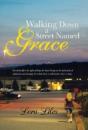 Walking Down A Street Named Grace - Preview