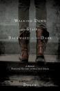 Walking Down The Stairs Backward In The Dark - Preview