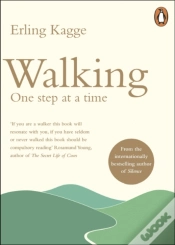 Capa do artigo Walking